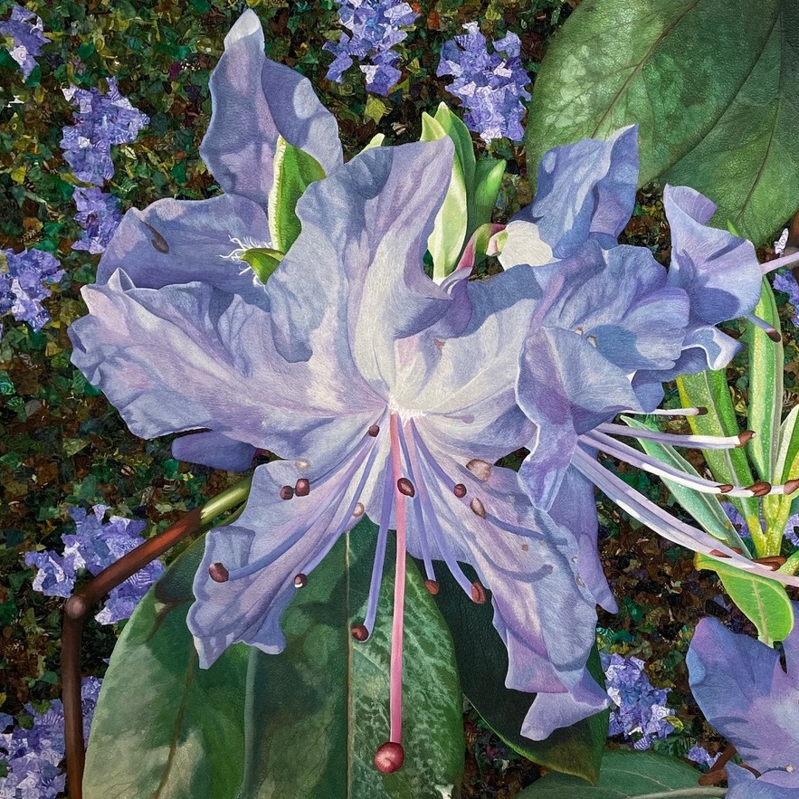 Floral Painted Applique on Silk: The Ladies Slipper with Andrea Brokenshire