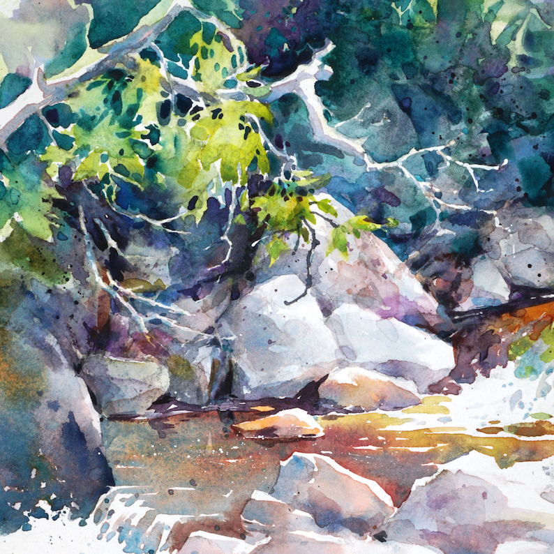 Wet & Wild with Julie Gilbert Pollard